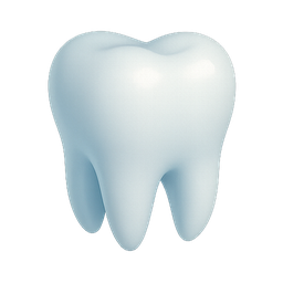 tooth, dental, 3d model